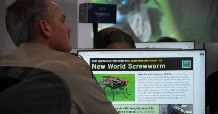Canada to limit livestock imports from Texas over flesh-eating screwworm