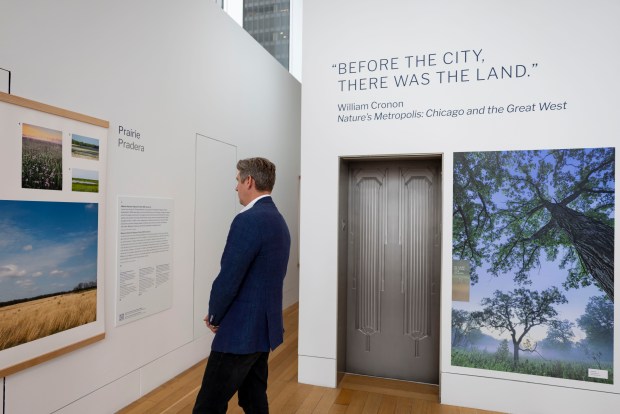 Visitors view photos on display for "Living Habitat" during a preview on June 9, 2026, of two new exhibits on wildlife conservation initiatives opening at the Chicago Architecture Center. (Brian Cassella/Chicago Tribune)