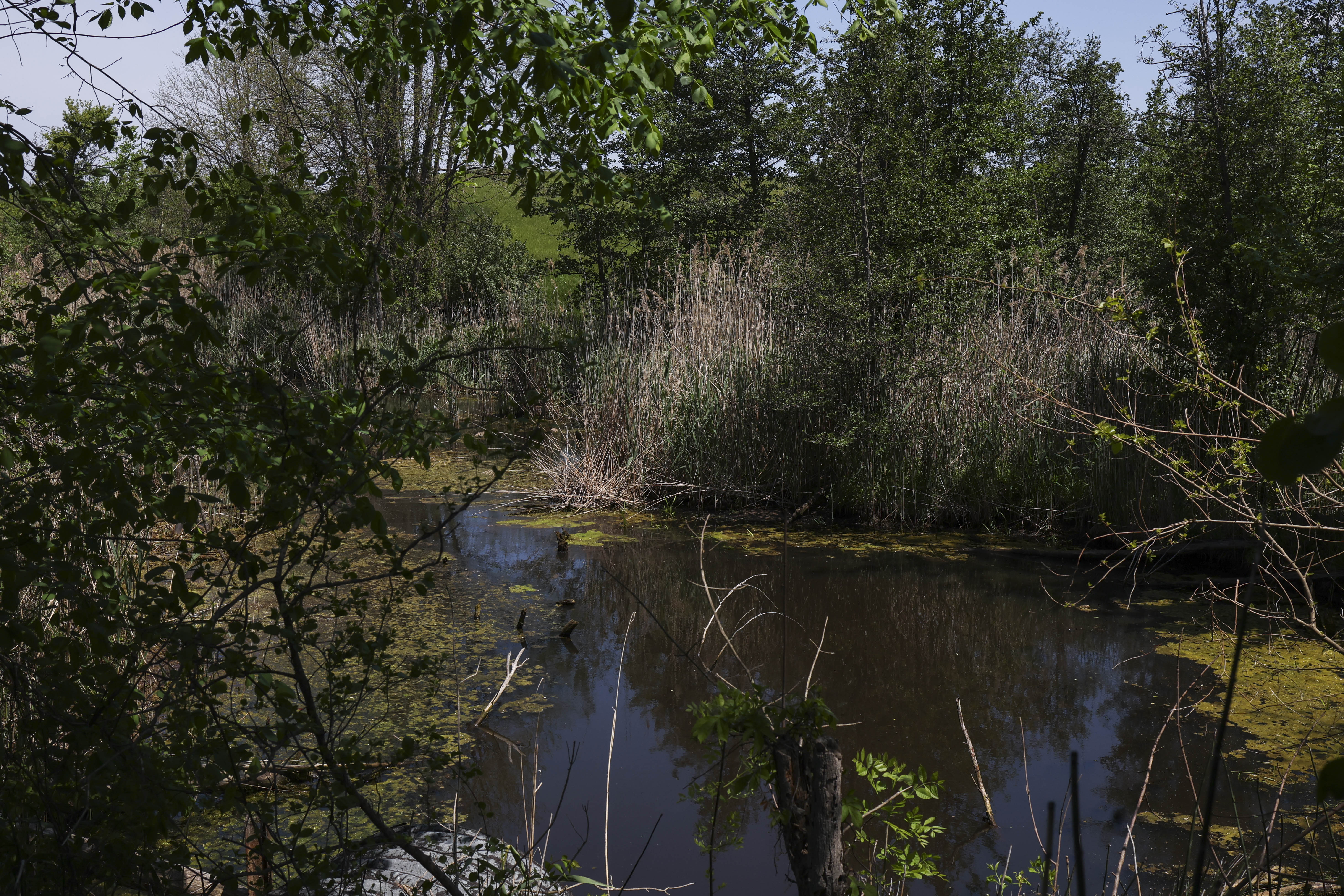 Brown Ditch, located south and east of the Yard 520...