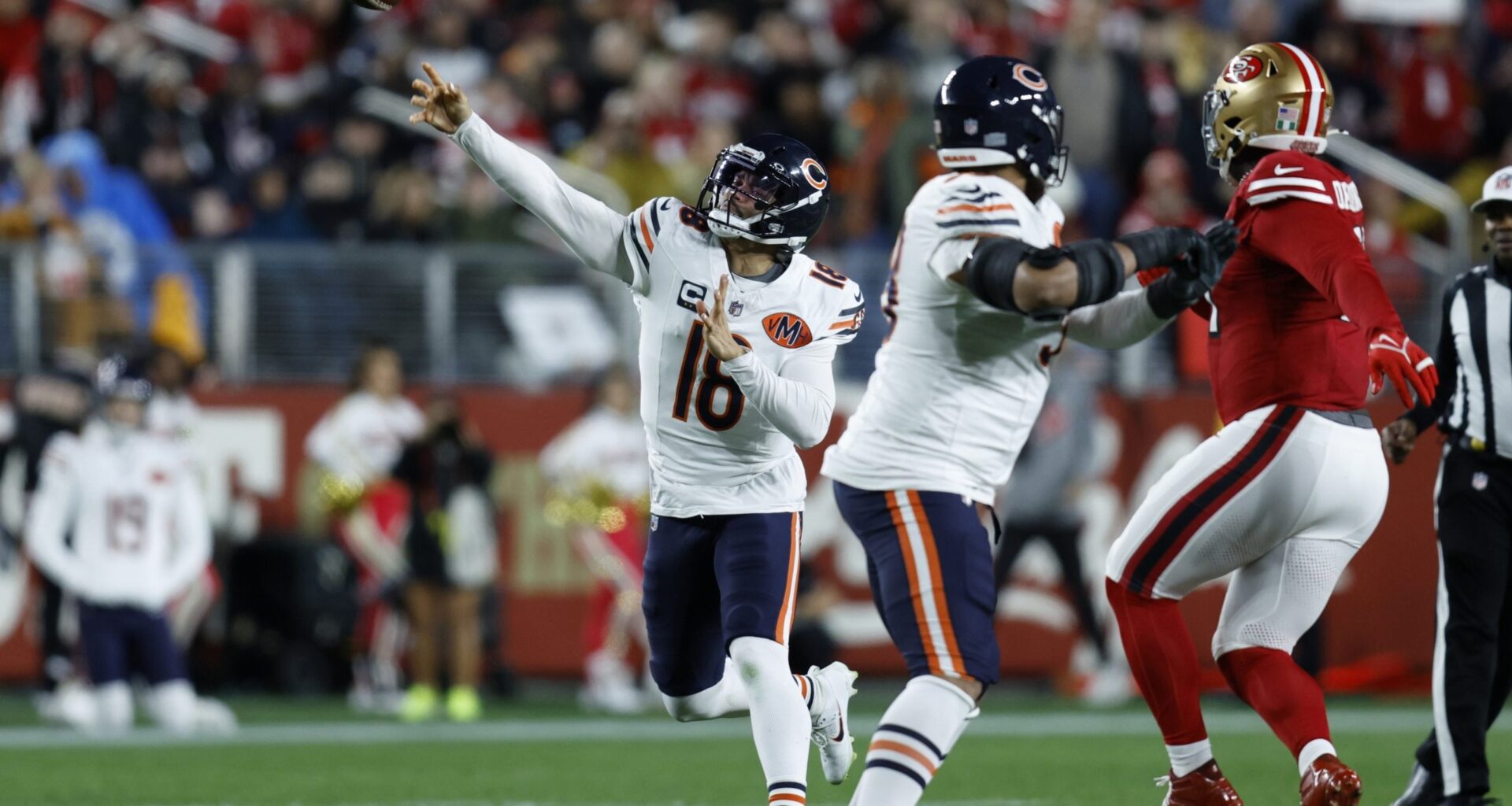 Bears