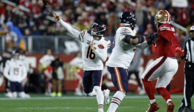 Bears