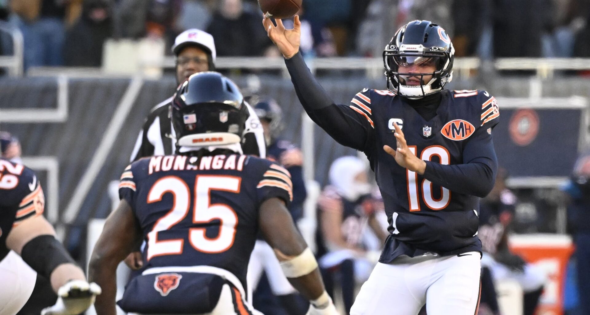 Bears