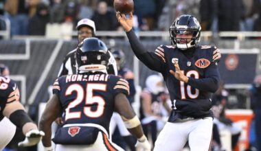 Bears