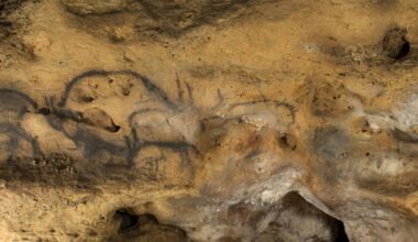 Cave Paintings at Font De Gaume, Dordogne