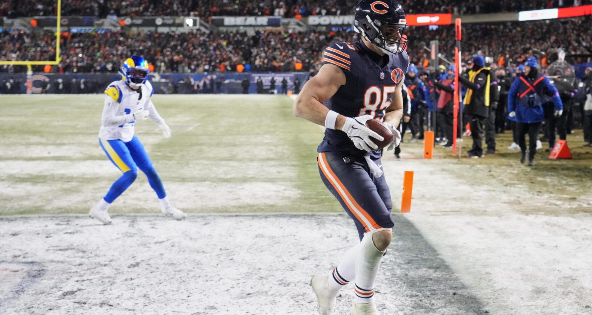 Bears