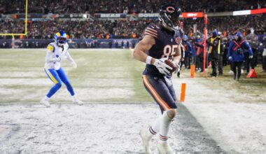 Bears