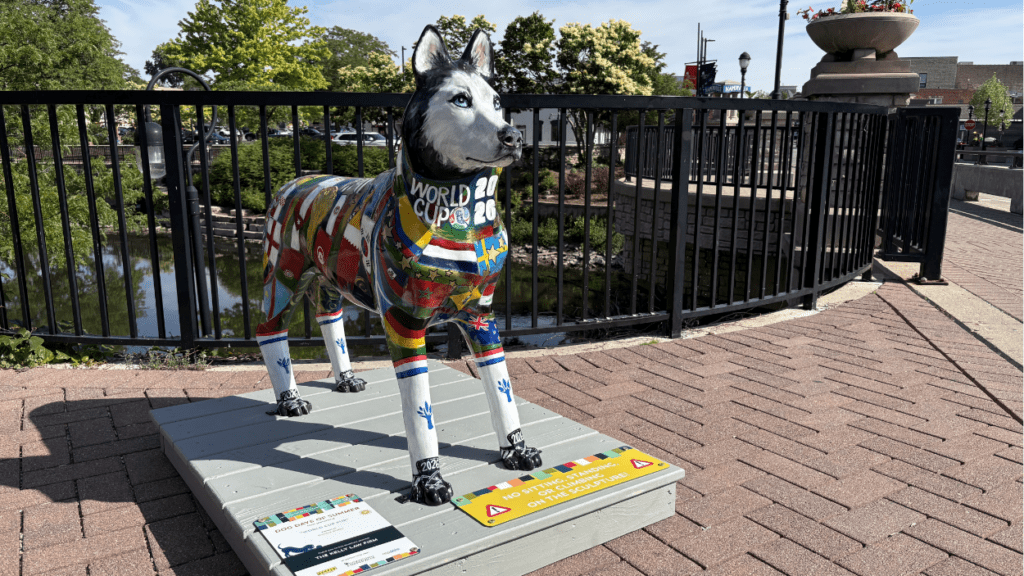 Colorful canine sculptures take center stage in downtown Naperville