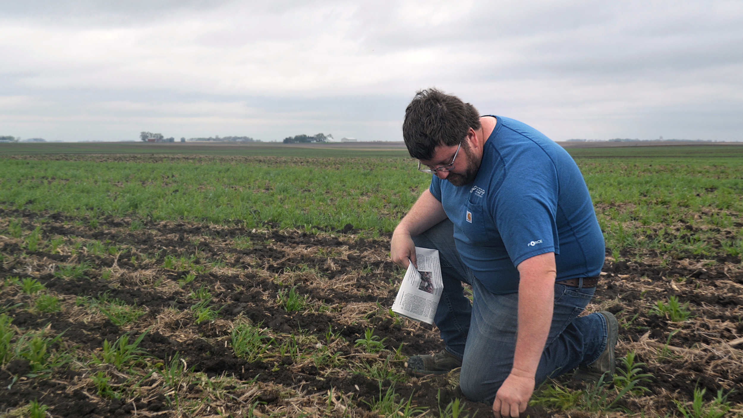 On his farm in northern Iowa, James Hepp plants cover crops after each harvest. Last year, only 17 percent of Iowa’s farmland was cover cropped, compared to the 60 percent coverage the state estimates it needs to meaningfully reduce nutrient loads in waterways. Credit: Anika Jane Beamer/Inside Climate News