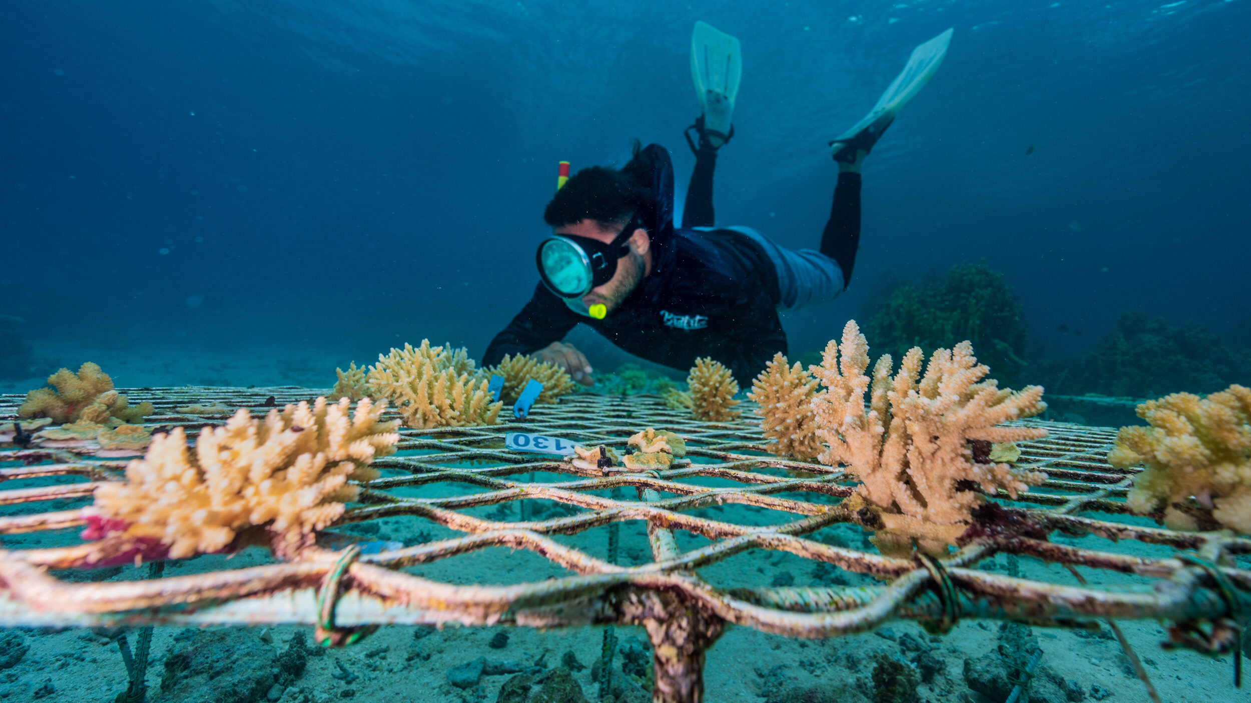 AJ Alik, a fisheries officer at the Marshall Islands Conservation Society, leads coral restoration efforts in Majuro. Credit: Tim Briggs