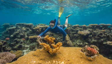Coral reef scientist, Anne Cohen, is searching for heat-resilient “super reefs” in the Central Pacific. Credit: Tim Briggs