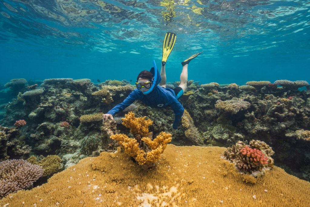 Coral reef scientist, Anne Cohen, is searching for heat-resilient “super reefs” in the Central Pacific. Credit: Tim Briggs