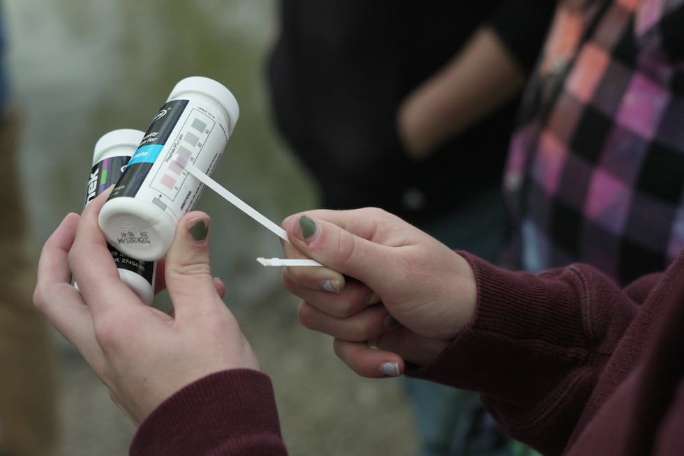 A Drake University student holds a phosphate test strip after sampling water from a stream...