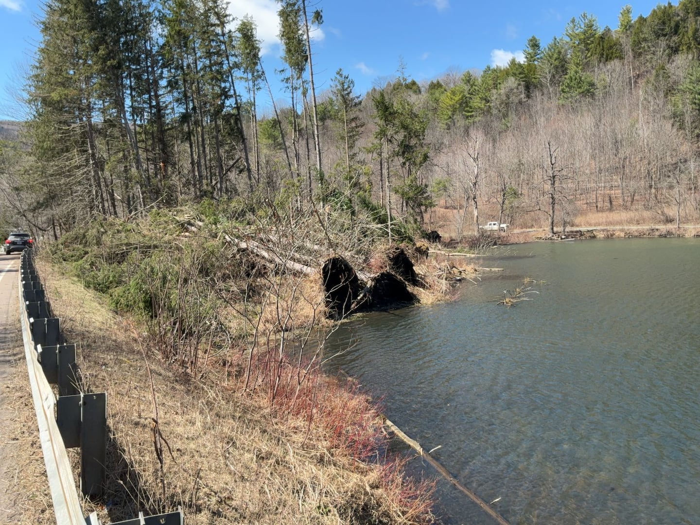 Large trees are seen uprooted near Staples Pond in Williamstown, Vt., in April.