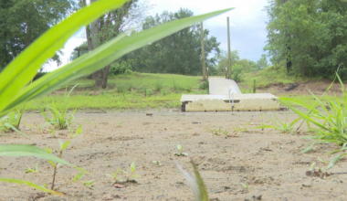Low Neuse River levels raise concerns in Kinston