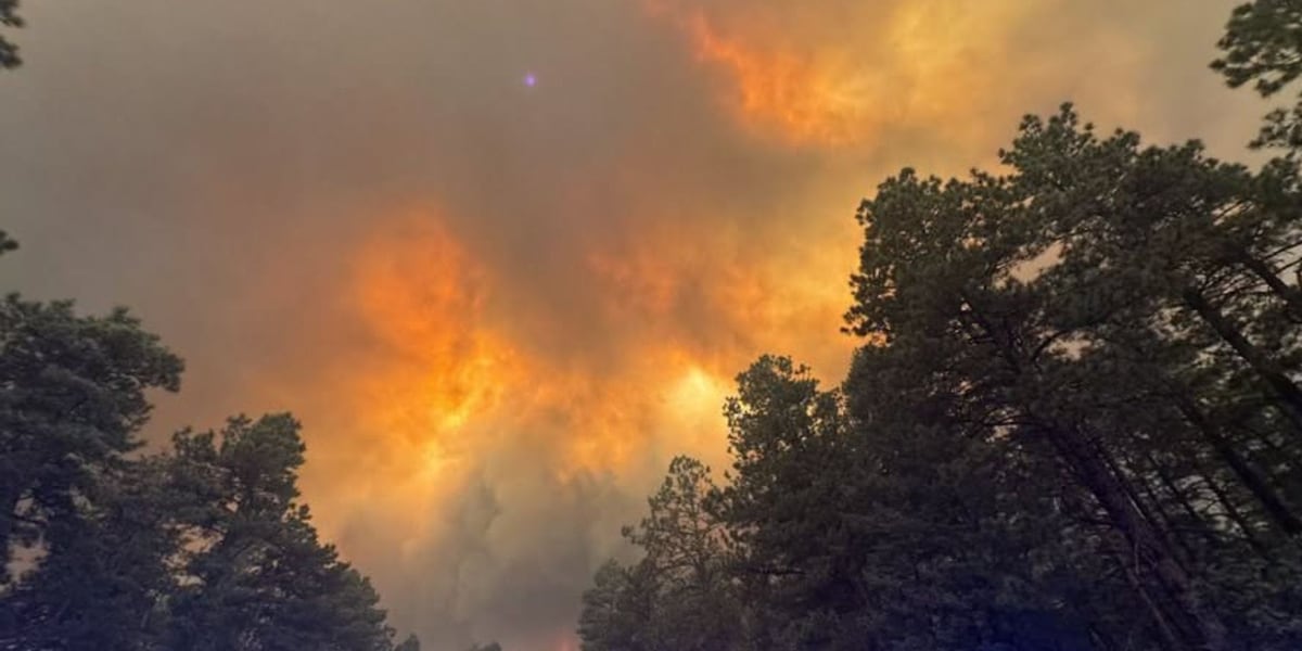 Air pollution expert gives advice for dealing with wildfire smoke