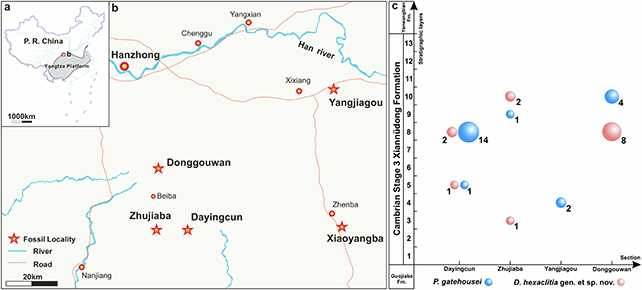 Fossil map