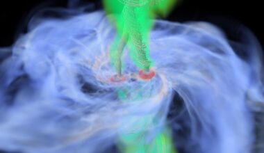 Gas Flows Around Binary Protostar System Visualization
