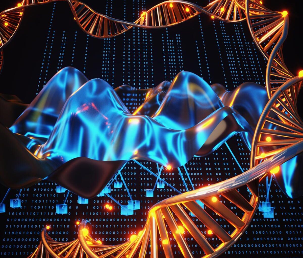 Genetic Information DNA Methylation