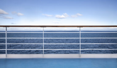 Andes Virus Outbreak on a Cruise Ship: Current Situation | Hantavirus