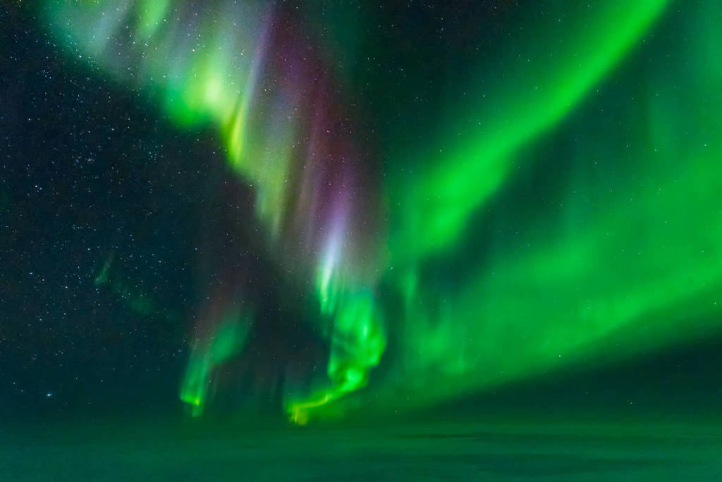 Bright green and purple aurora australis swirling across the night sky, creating a mesmerizing display of colour