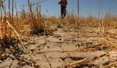 El Niño events have led to trillions in economic losses, and the 2026 cycle won’t be any different
