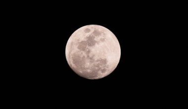 When is the ‘strawberry moon’? Here’s what to know – NBC Chicago