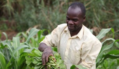 Zambia, US expand scope of $491 million agricultural grant to strengthen critical minerals supply chain