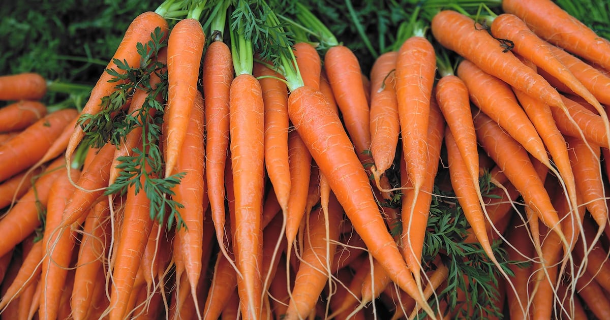 Benicaros gains EFSA Novel Food approval