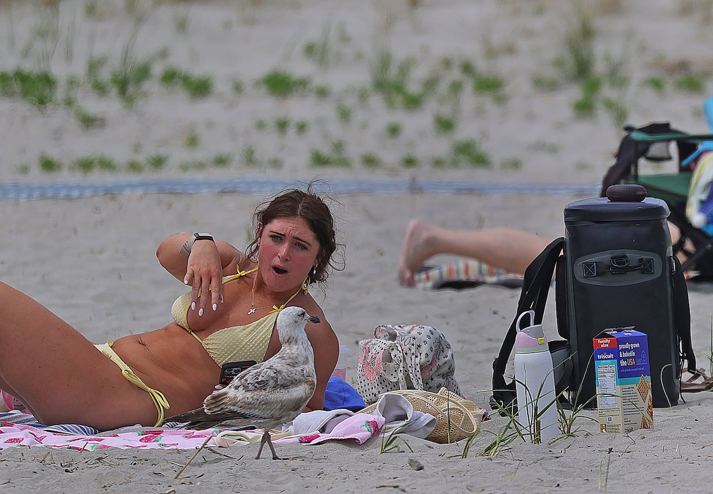 A beachgoer shooed away sea gulls looking for food.