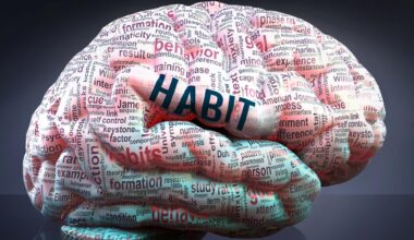 Habit Human Brain