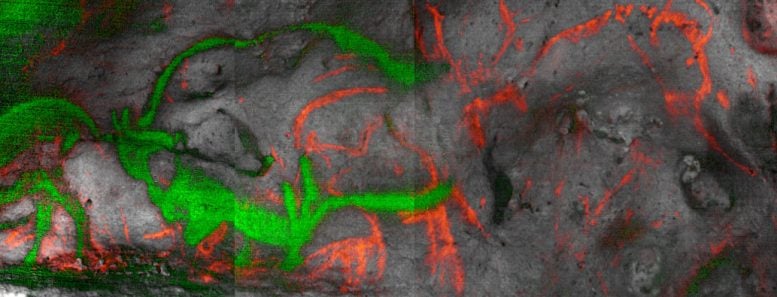 Hyperspectral Analysis of Cave Paintings
