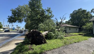 Recent storms and North Lawrence tornado have kept the city’s forestry staff busy day and night | News, Sports, Jobs