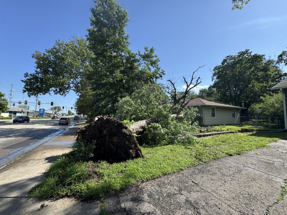 Recent storms and North Lawrence tornado have kept the city’s forestry staff busy day and night | News, Sports, Jobs