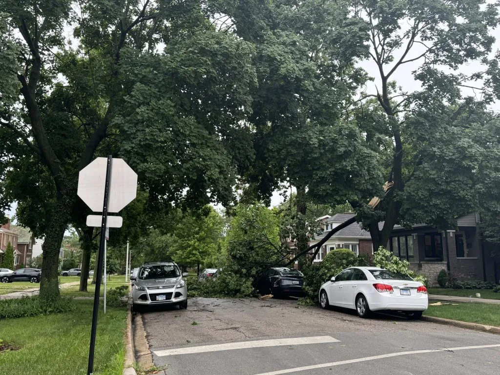 Storm damage near W 96th Street & S Damen Avenue in Beverly on June 10, 2026.