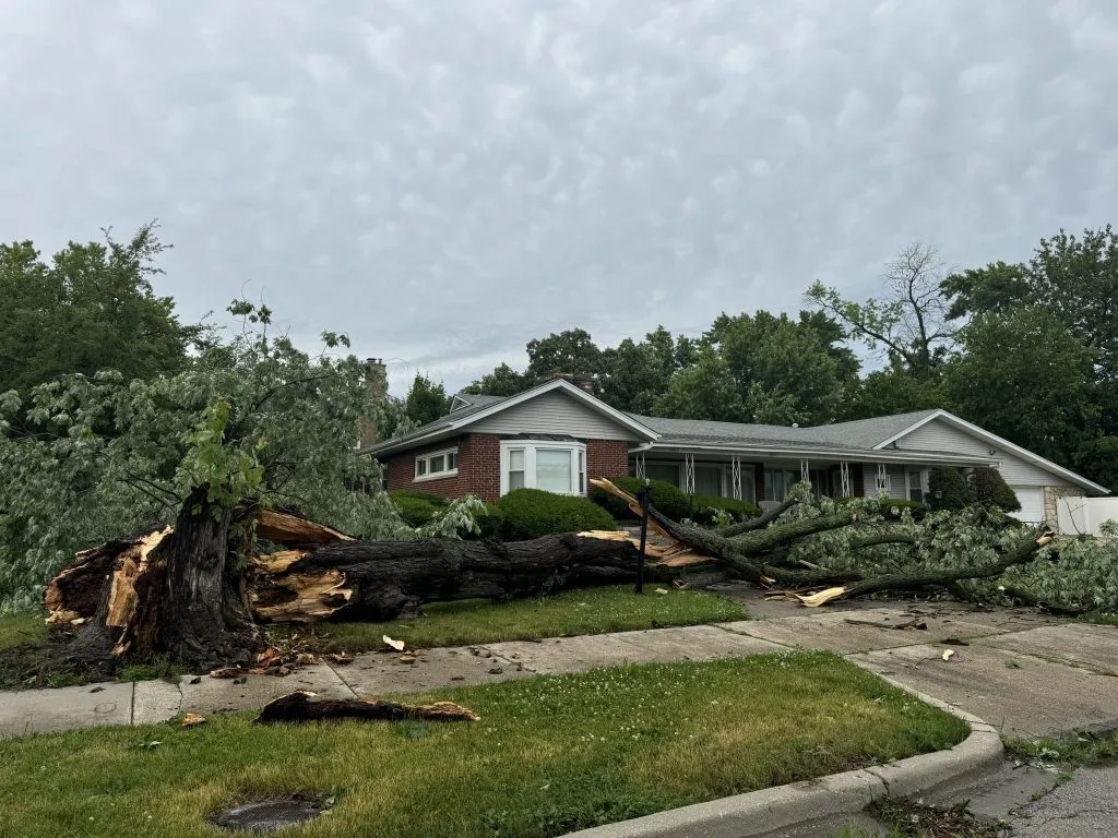 Heavy tree damage covered the lawns outside homes near W 116th Place & S Oakley Avenue in Beverly Woods following a wave of strong storms on June 10, 2026.