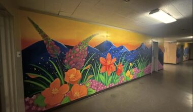 South Tahoe artist paints murals: ‘A great opportunity to give back to my community’