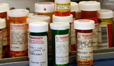 78 pounds of expired and unused medication removed in record Albany collection
