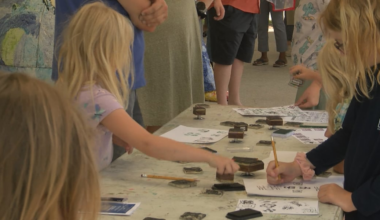 ‘Creating together’: Cameron Art Museum hosts free Community Day in Wilmington