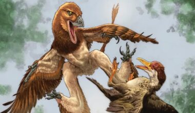 Mysterious Predator That Butchered Ancient Birds Is Finally Unmasked : ScienceAlert