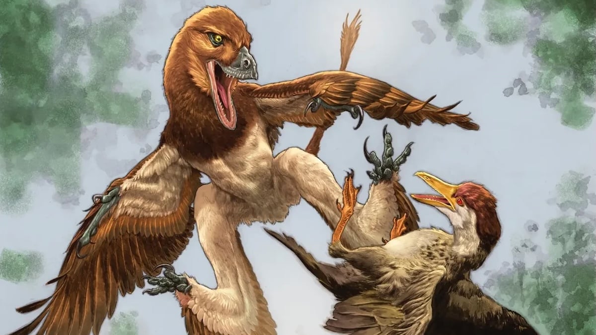 Mysterious Predator That Butchered Ancient Birds Is Finally Unmasked : ScienceAlert
