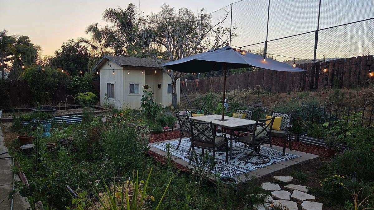 Screencaps reader Jim T in San Diego shares his backyard garden.