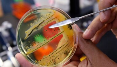 Canadian-led team of scientists discover new antibiotic hidden in decades-old bacterium - CTV News