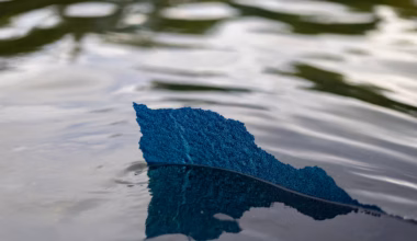 Blue paint is peeling off the Reflecting Pool