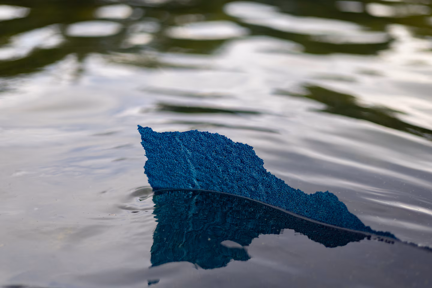 Blue paint is peeling off the Reflecting Pool