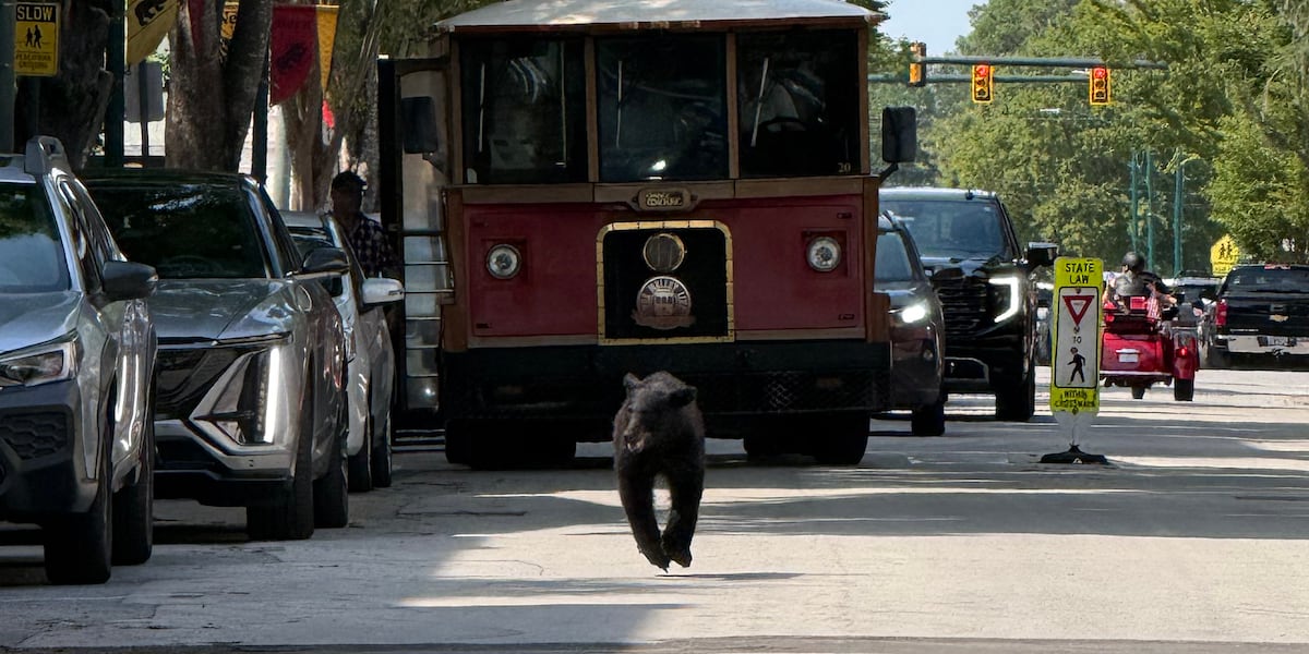 New Bern’s mascot makes unannounced downtown visit