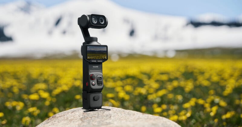 A handheld camera with a screen and dual lenses stands on a rock in a field of yellow flowers, with snow-covered mountains blurred in the background.