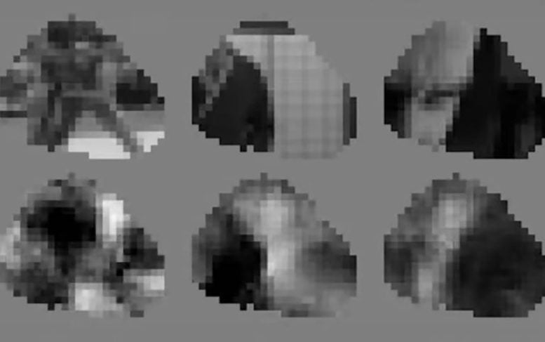 Mice Video Reconstruction Comparison