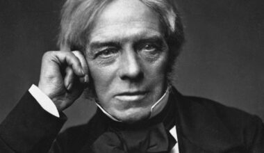 The O'Toole Chronicles: Faraday Bags