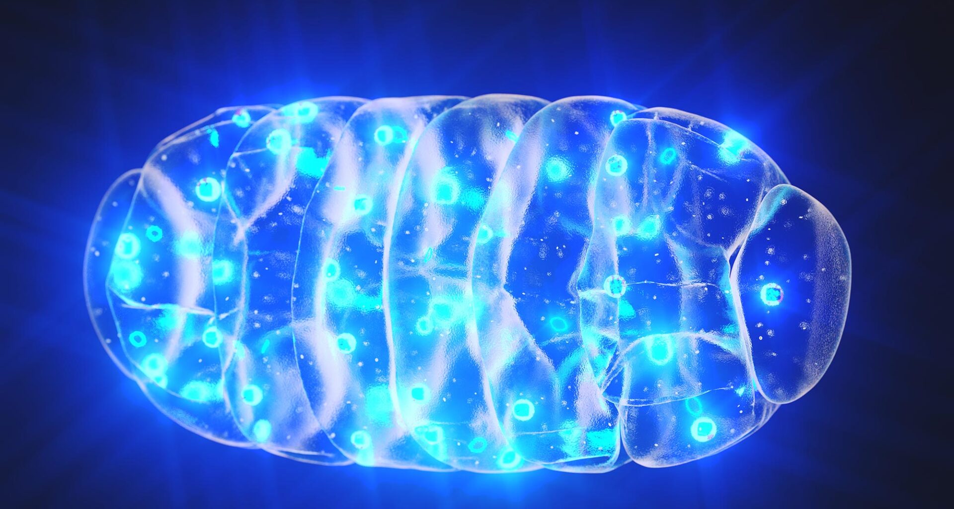 Mitochondria Blue Glow