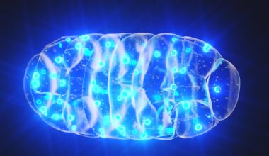 Mitochondria Blue Glow